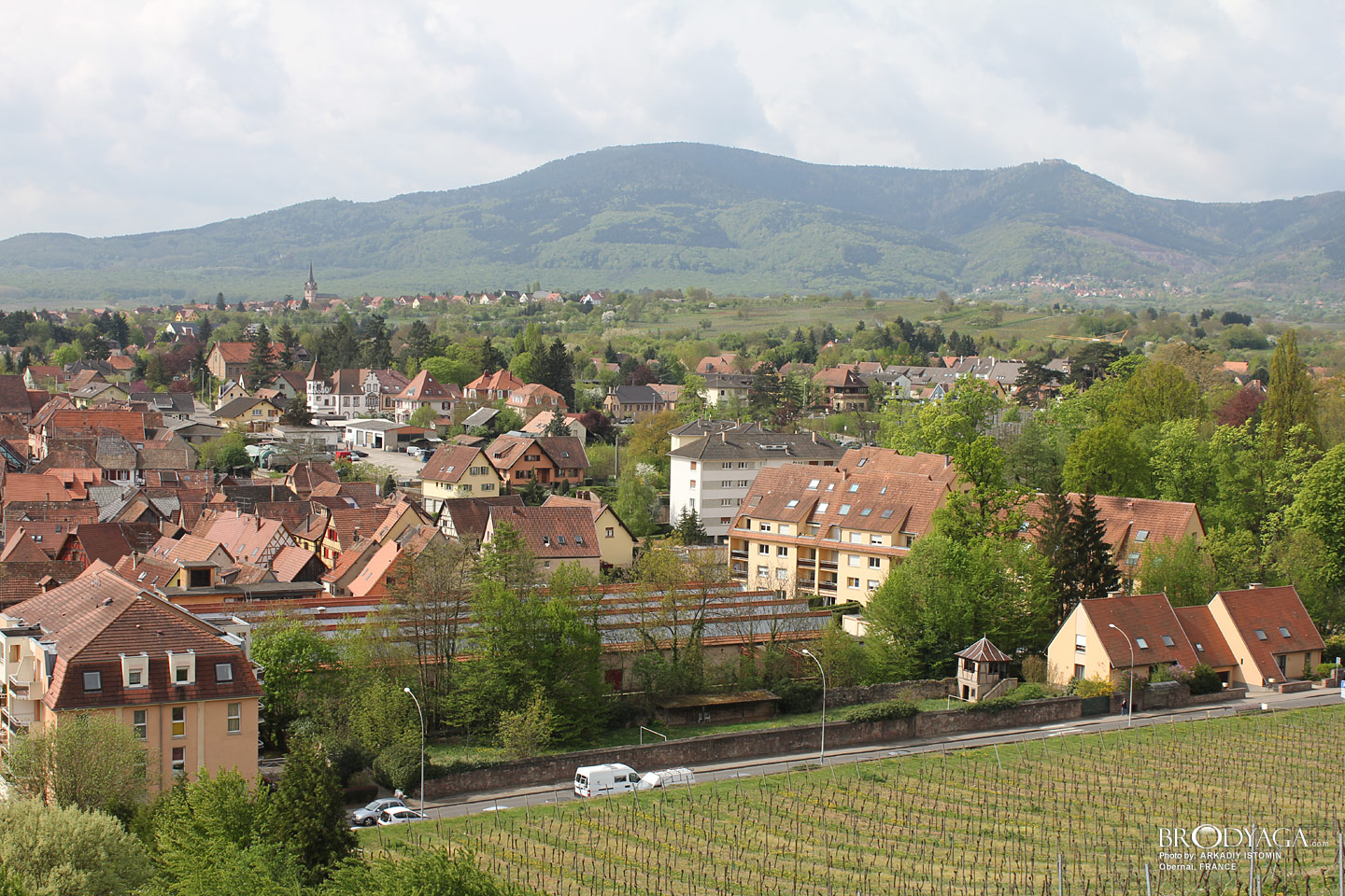 Obernai